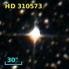 HD 310573