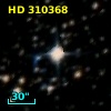 HD 310368