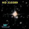 HD 310389