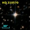 HD 310570