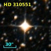 HD 310551