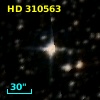 HD 310563