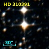 HD 310391