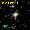 HD 310448