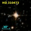 HD 310473