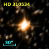 HD 310534