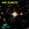 HD 310675