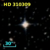 HD 310309