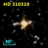 HD 310310
