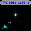 TYC 3901-1136-1