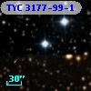 TYC 3177-99-1