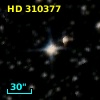 HD 310377