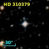 HD 310379