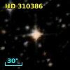 HD 310386