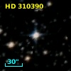 HD 310390