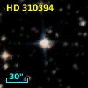 HD 310394