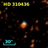 HD 310436