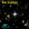 HD 310452
