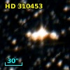 HD 310453