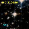 HD 310456