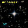HD 310463