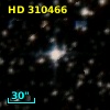 HD 310466