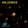 HD 310519