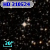 HD 310524