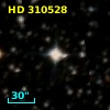 HD 310528