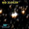 HD 310529