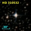 HD 310532