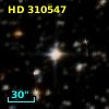 HD 310547