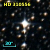 HD 310556