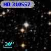 HD 310557