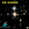 HD 310560