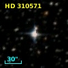 HD 310571