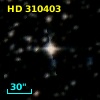 HD 310403