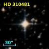 HD 310481