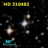 HD 310482