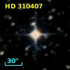 HD 310407