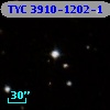 TYC 3910-1202-1