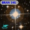 BRAN 345