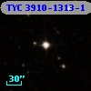 TYC 3910-1313-1