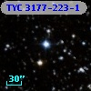 TYC 3177-223-1