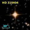 HD 310404