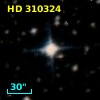 HD 310324