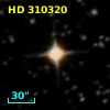 HD 310320