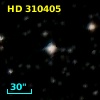 HD 310405