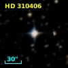 HD 310406