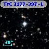 TYC 3177-397-1